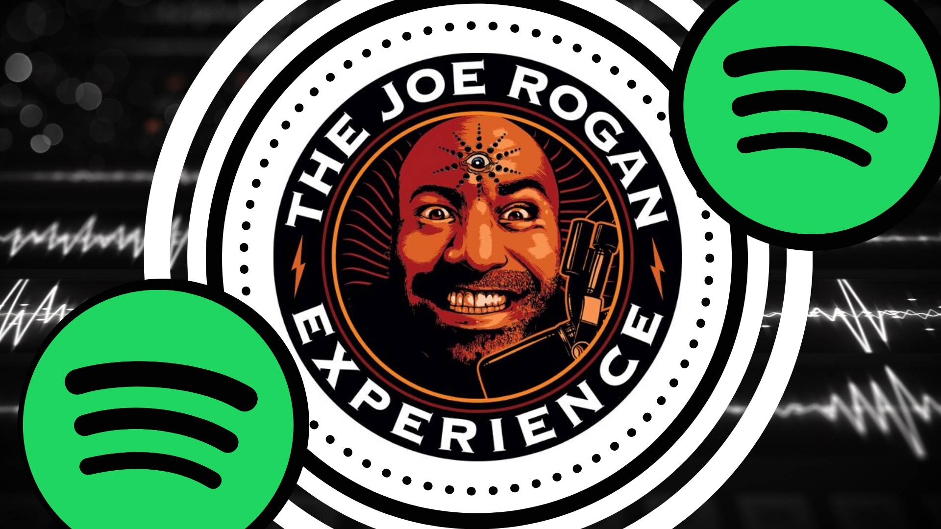 joe rogan on spotify